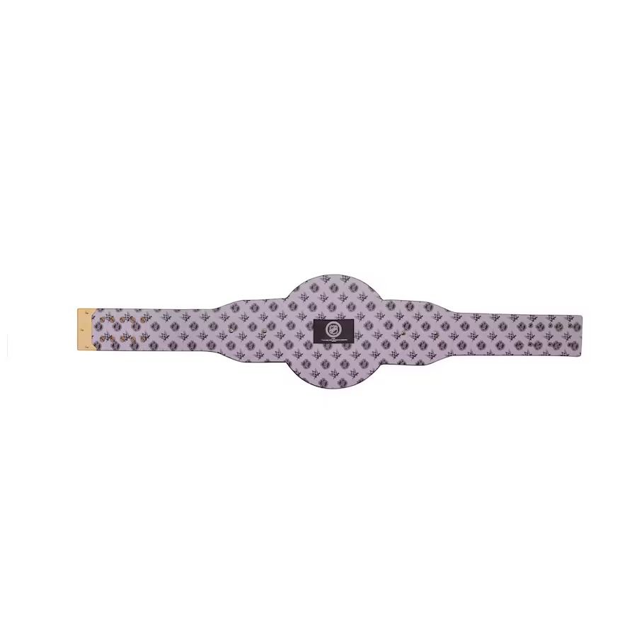Anaheim Ducks Championship Belt β WWE Legacy Replica Title