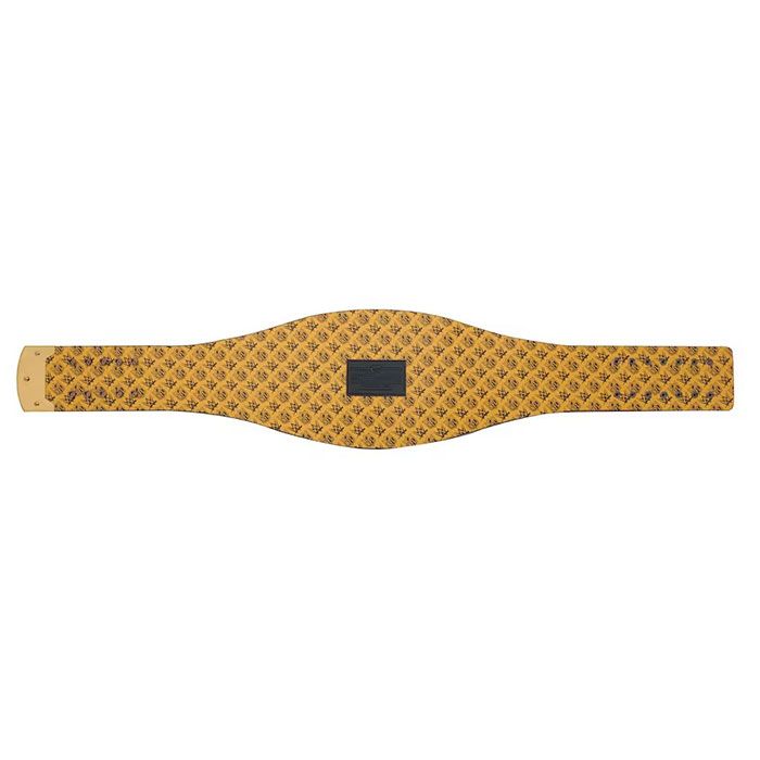 Green Bay Packers Championship Belt β WWE Legacy Replica Title