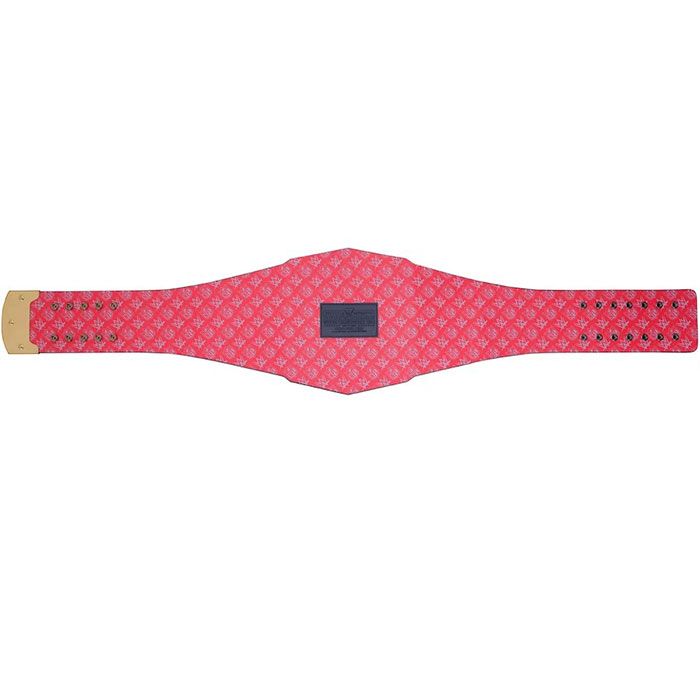 Houston Texans Championship Belt β WWE Legacy Replica Title