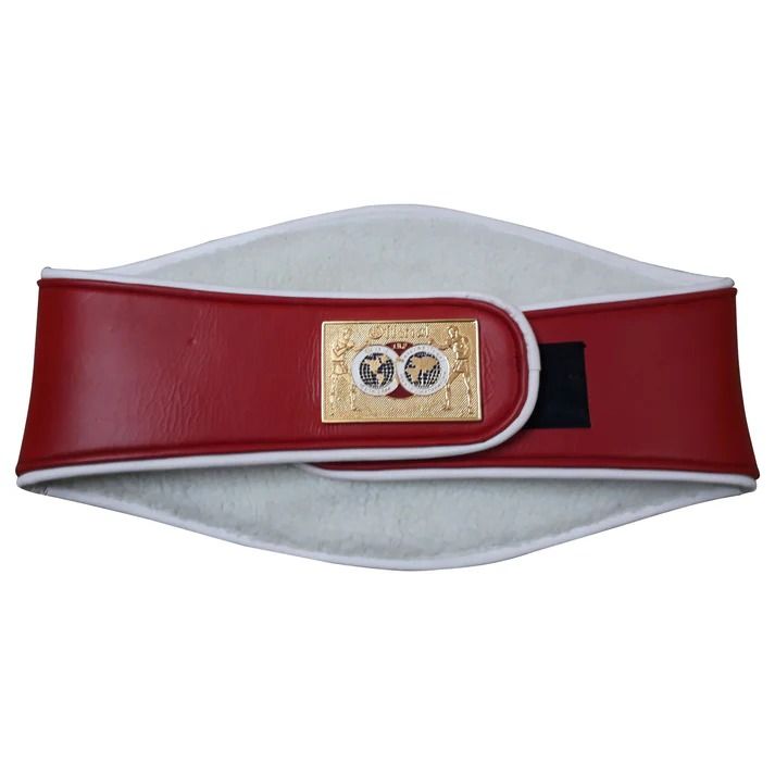 IBF Championship Belt โ International Boxing Federation Replica Title