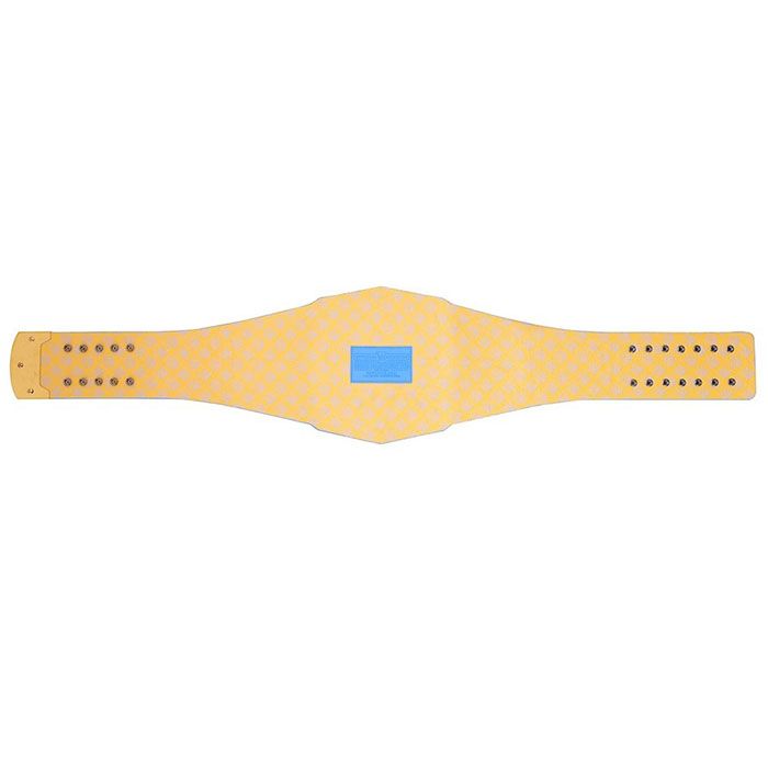 WWE Los Angeles Chargers 2023 Legacy Championship Replica Title Belt