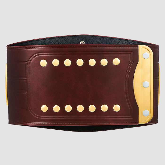 WWE NXT North American Championship Replica Title Belt