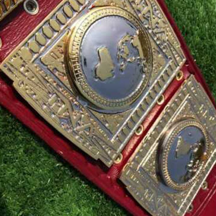 TNA World Heavyweight Championship Replica Title Belt β Old School Dual Plated