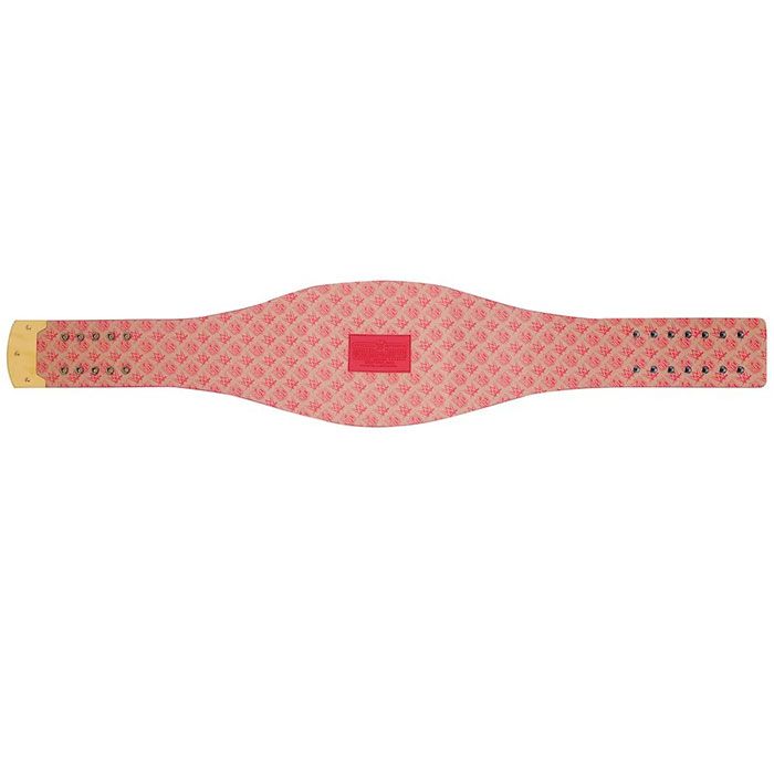 San Francisco 49ers Championship Belt β WWE Legacy Replica Title
