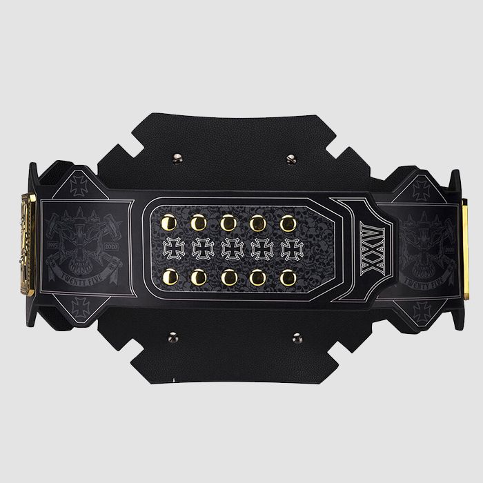 WWE Triple H 25 Years Signature Series Championship Replica Title Belt