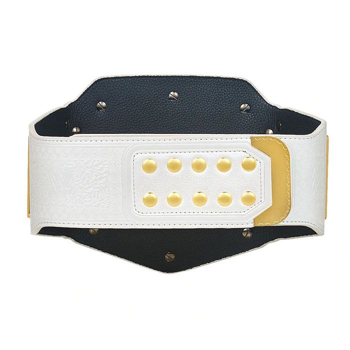WWE RAW Women’s Championship Belt – Replica Title