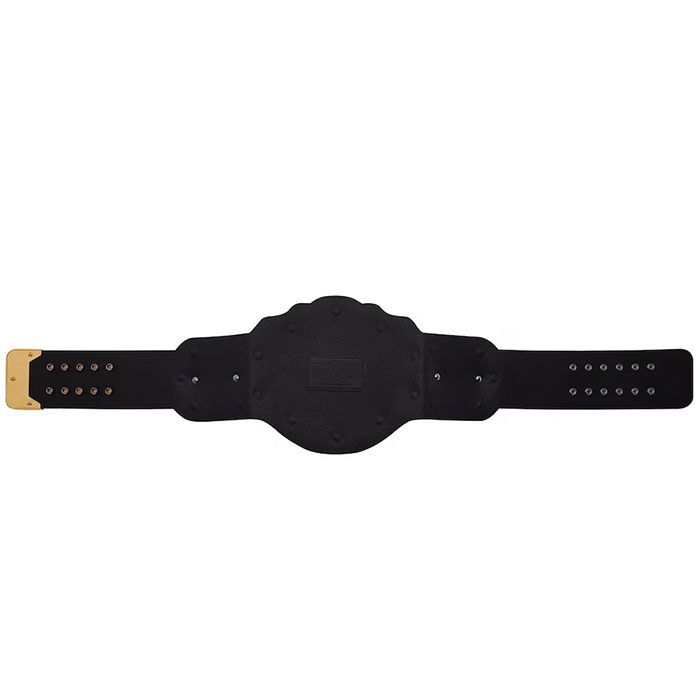 WWE Triple H World Heavyweight Championship Replica Title Belt β Brand New