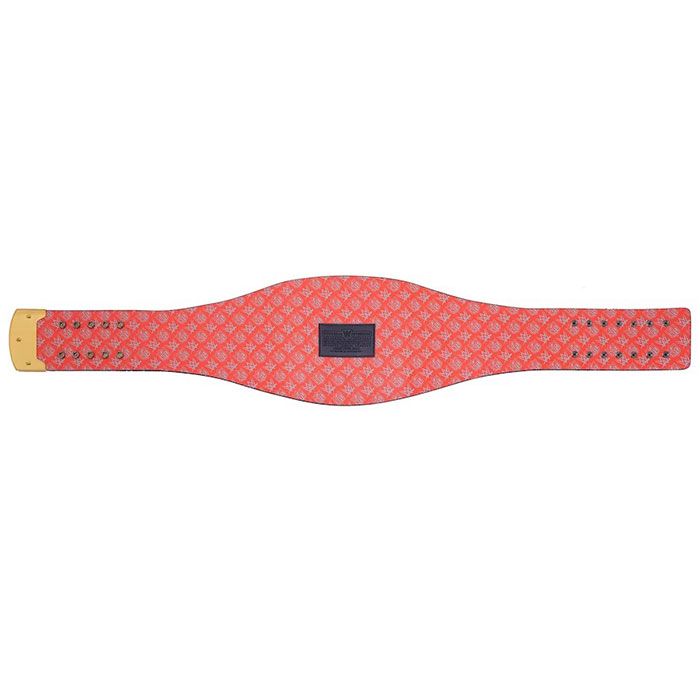 Chicago Bears Championship Belt – WWE Legacy Replica Title