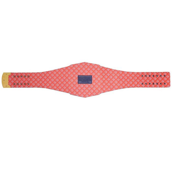 Denver Broncos Championship Belt – WWE Legacy Replica Title