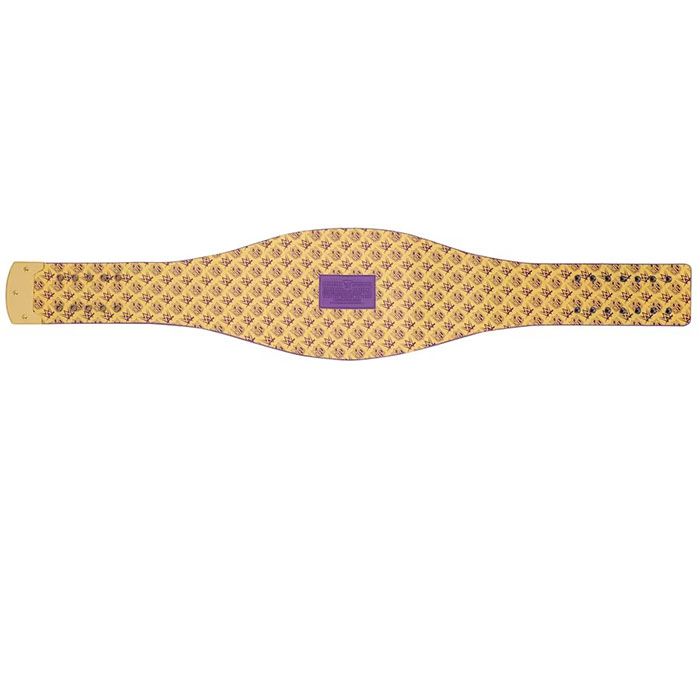 Minnesota Vikings Championship Belt – WWE Legacy Replica Title