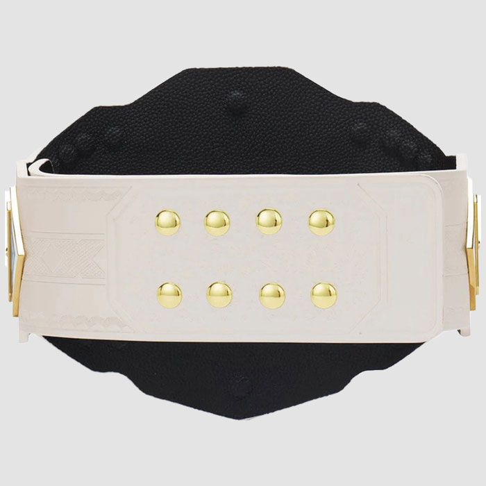 NXT Women’s 2.0 Championship Replica Title Belt – 2mm & 4mm Zinc Alloy Plates