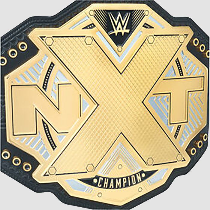 WWE NXT Championship Replica Title Belt – Brass Metal Plates
