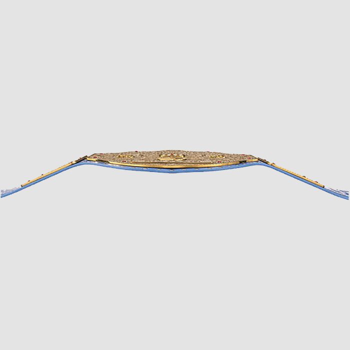 WWE Ric Flair Signature Series Championship Replica Title Belt