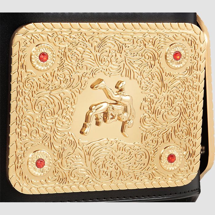 WCW Ric Flair Signature Series Championship Replica Title Belt