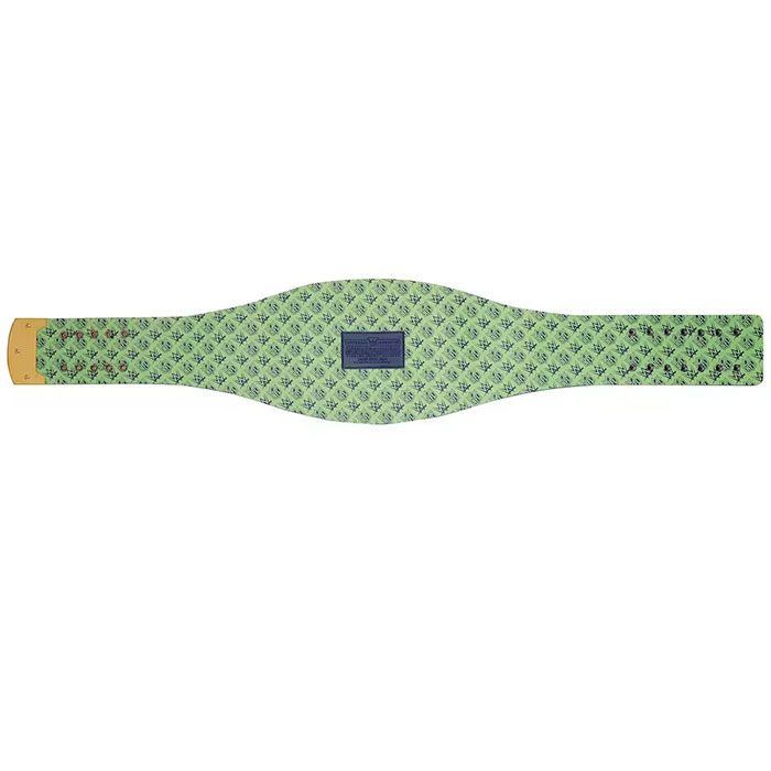 Seattle Seahawks Championship Belt – WWE Legacy Replica Title