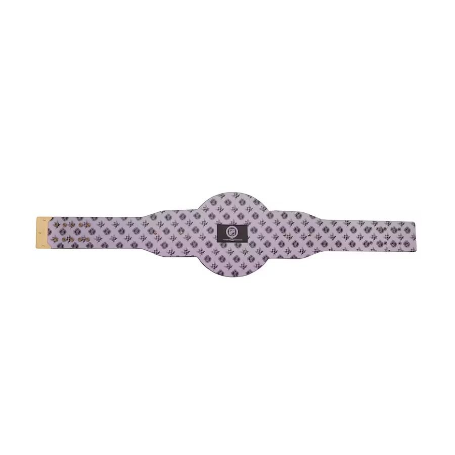 Seattle Kraken Belt NHL Championship Legacy Title