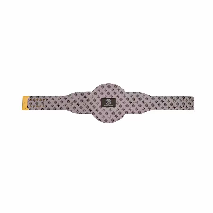 Tampa Bay Lightning Championship Belt NHL Legacy Title