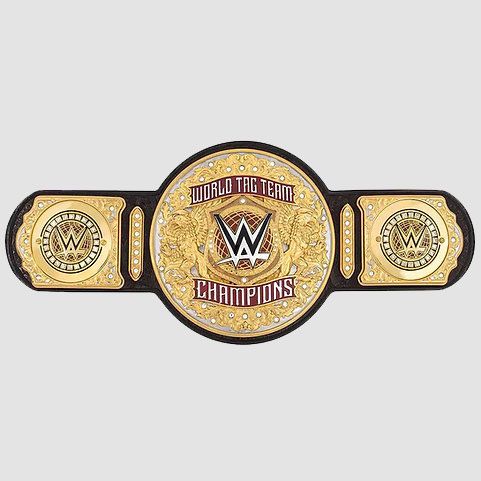New WWE Tag Team World Championship Replica Title Belt (2024 Edition)