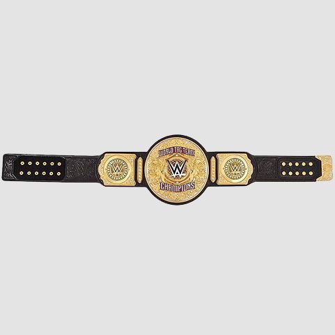 New WWE Tag Team World Championship Replica Title Belt (2024 Edition)