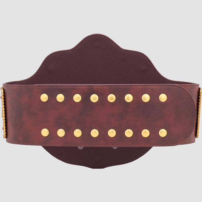 WBC x WWE Big Gold World Heavyweight Championship Replica Title Belt – Brown Strap