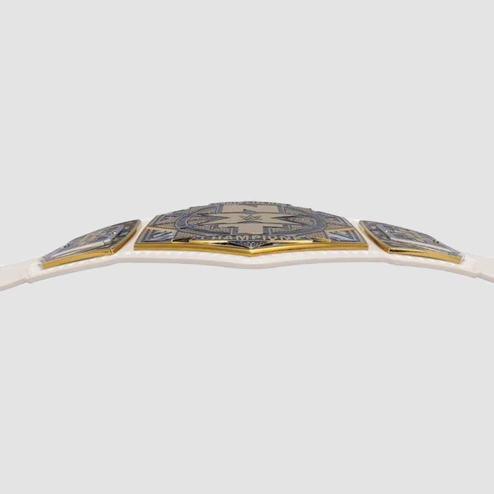 NXT Women’s Roster Tag Team Wrestling Championship Title Belt – For Sale